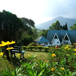 Camelot Munnar