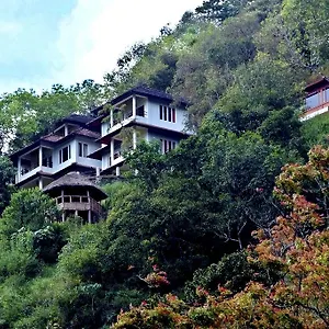 Blackberry Hills Nature & Munnar